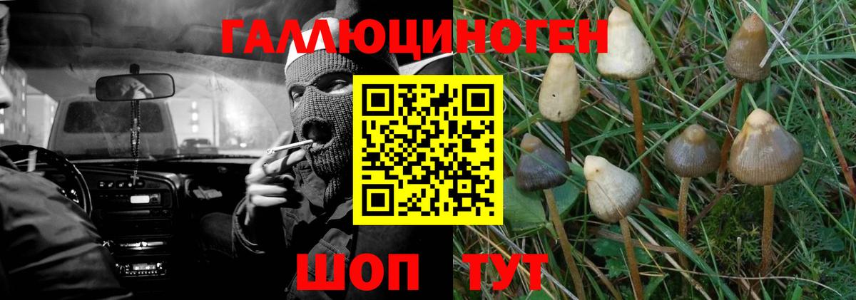 Галлюциногенные грибы мухоморы  Вход с VPN  Реж 