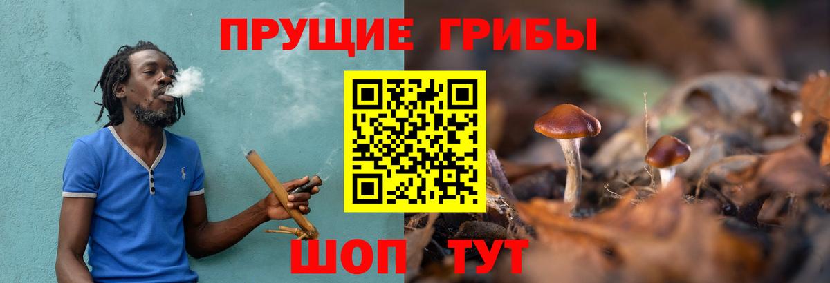 Галлюциногенные грибы Cubensis Реж